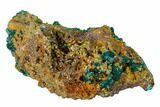 Gemmy Dioptase Clusters with Mimetite - N'tola Mine, Congo #148465-3